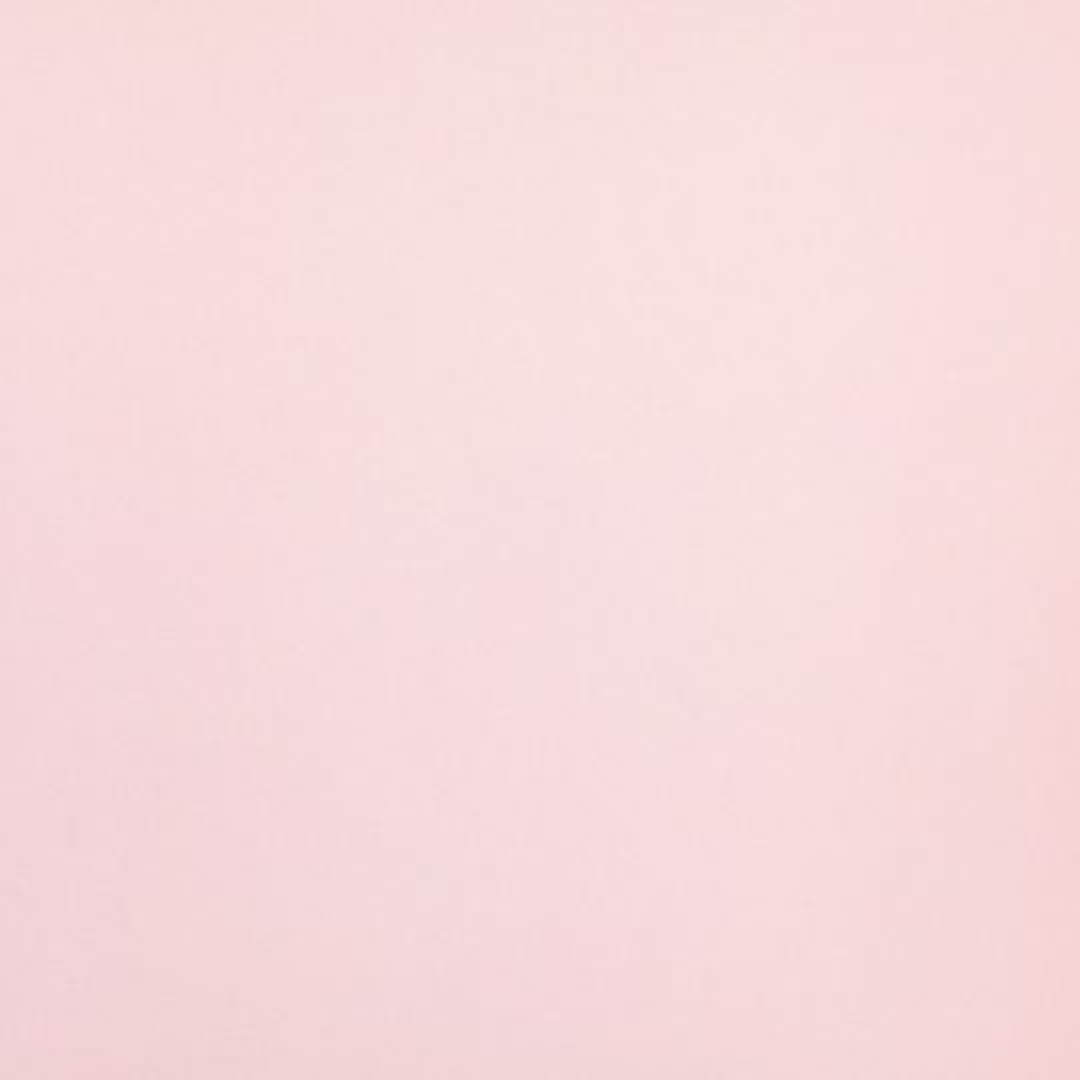 Amore Di Colore Pink Plain Design Wallpaper 301062