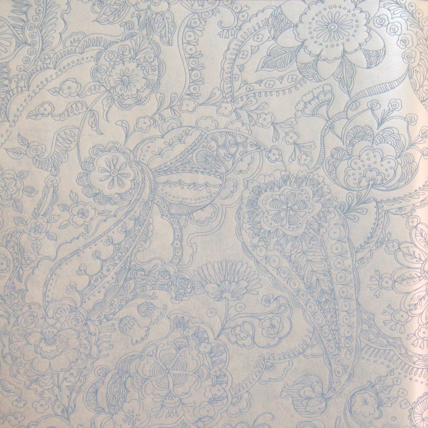 Raval Sky Blue Floral Design Wallpaper 341529