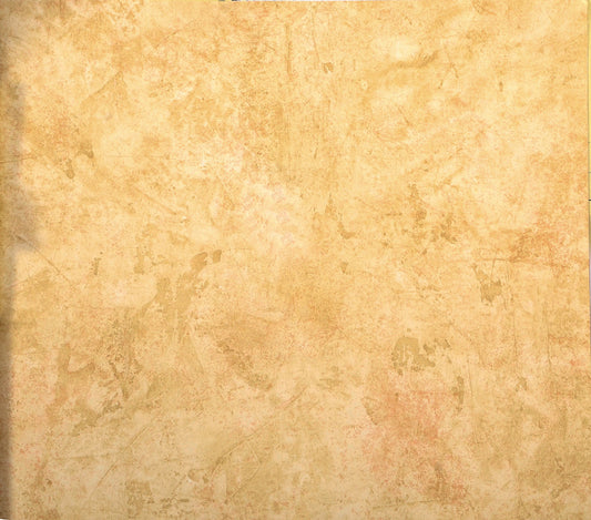 American Classic Abstract Dirt Brown Sepia Paint Wallpaper 330882